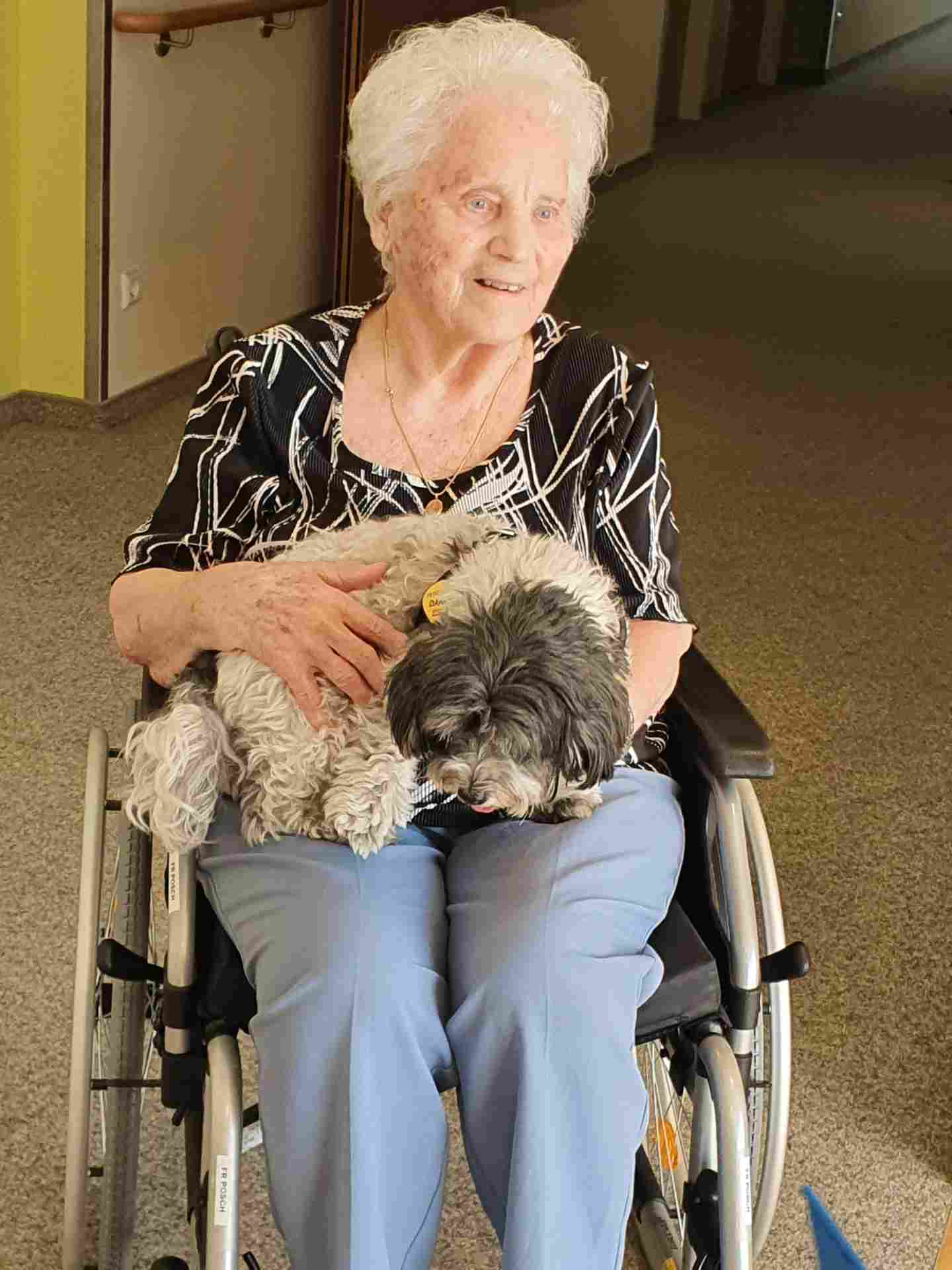 Hund im Senecura Sozialzentrum Traiskirchen